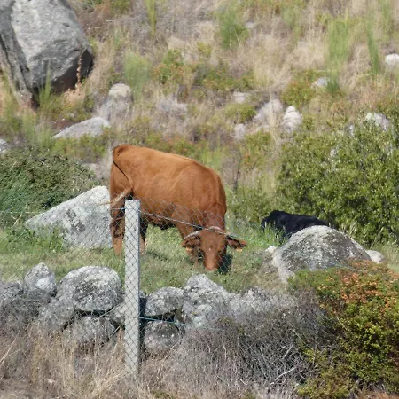 Hotel Casas Do Durao-memories House Lajeosa (Guarda)