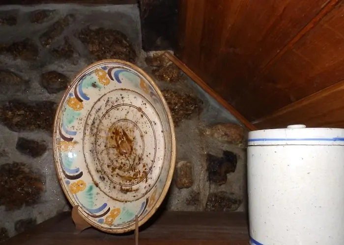 Ξενοδοχείο Casas Do Durao-memories House Lajeosa (Guarda)